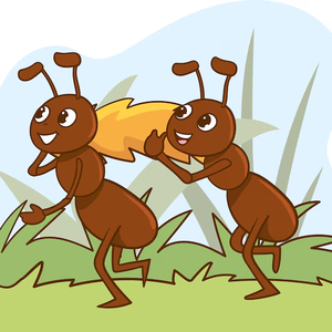 Team Page: Atomic Ants 